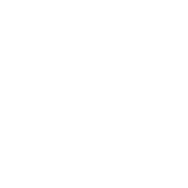 navismart-ai logo