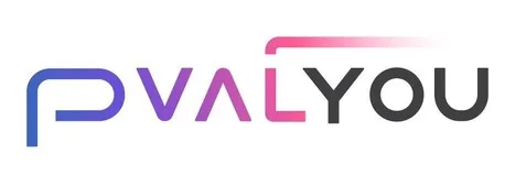 pvalyou logo