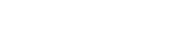 RapidAI logo