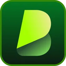 Videotranslator