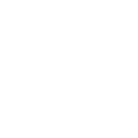 vidful-ai logo